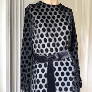 Vintage 70s Burnout Velvet Gown: Polka Dot Ruffle Maxi Dress